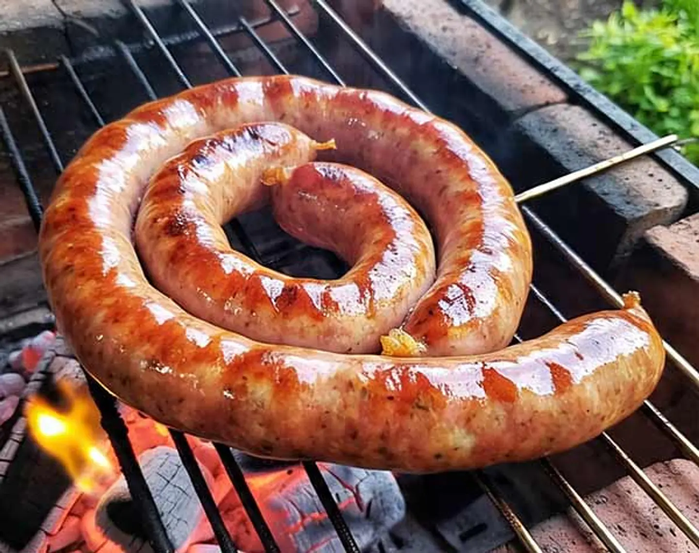 Ganiza al Merkén 500 g Artencarnes 1