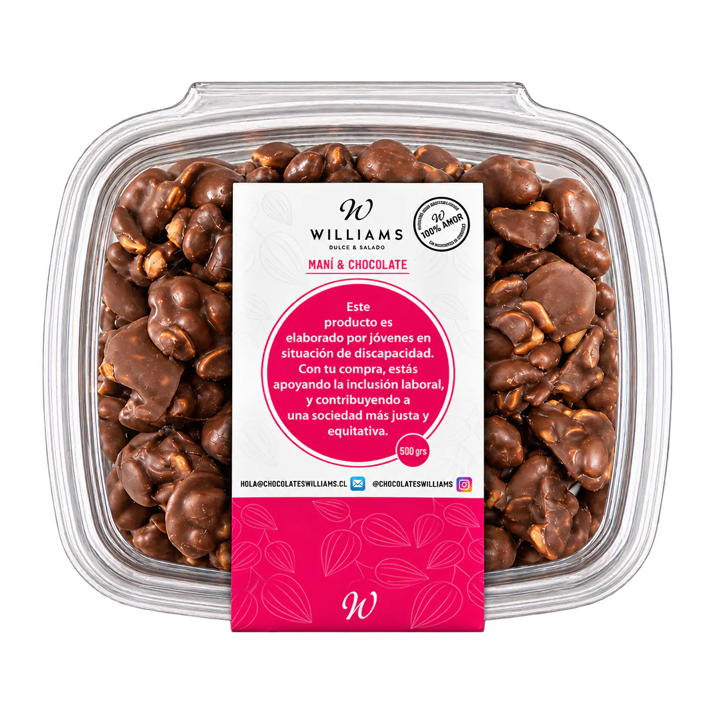 Maní Bañado Chocolate 200 g Chocolates Williams 1