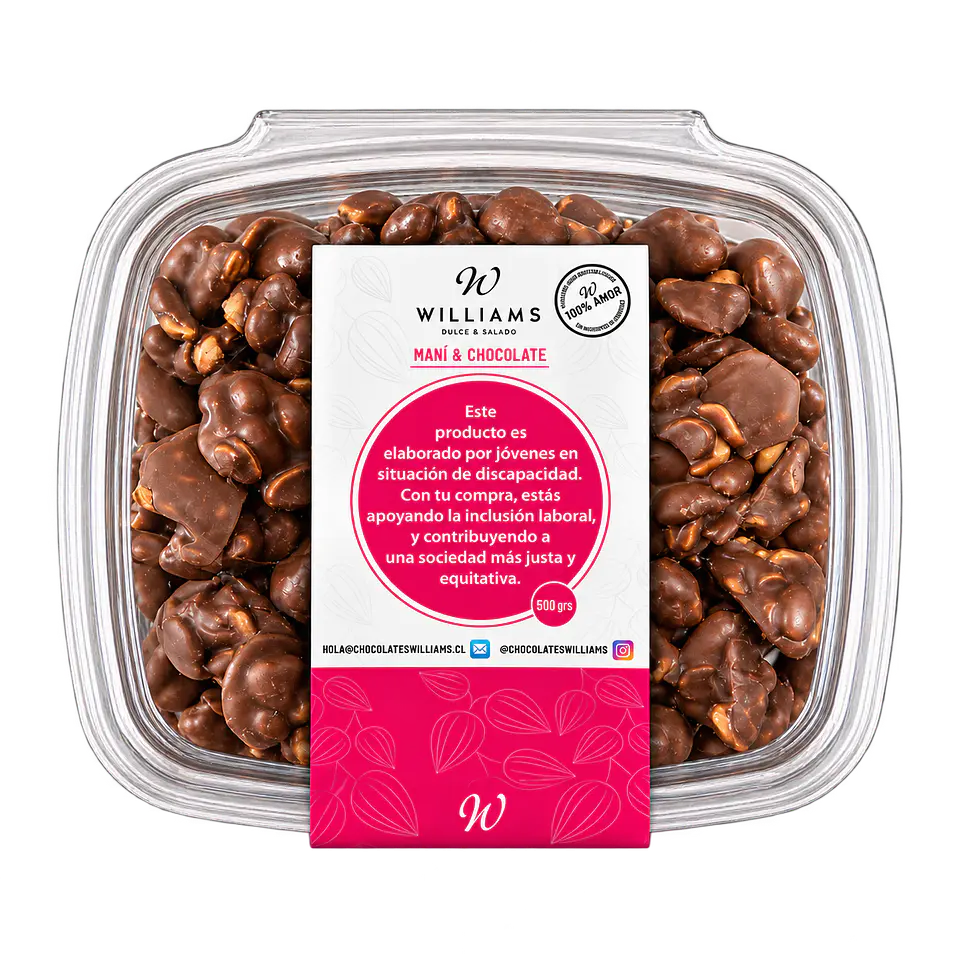 Maní Bañado Chocolate 200 g Chocolates Williams 1