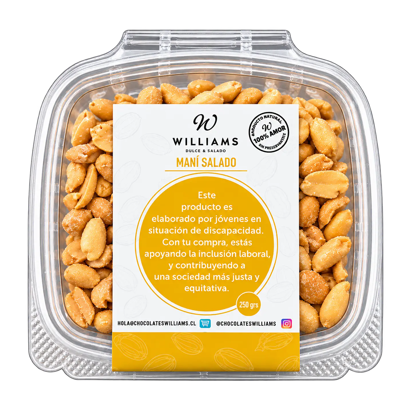 Maní Salado 250 g Chocolates Williams 1