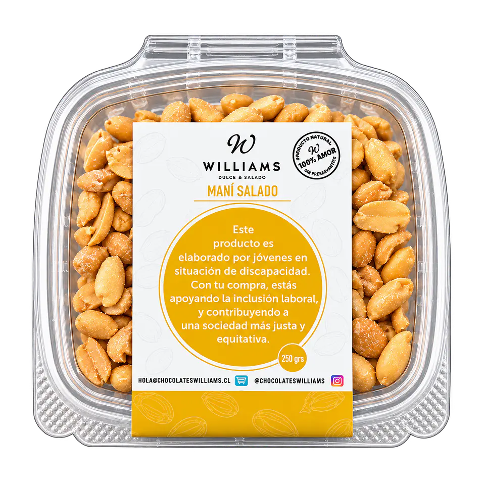 Maní Salado 250 g Chocolates Williams 1