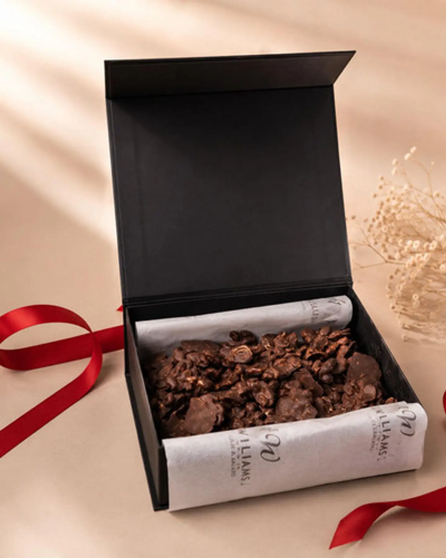 Maní con chocolate premium 450 g Chocolates Williams 1