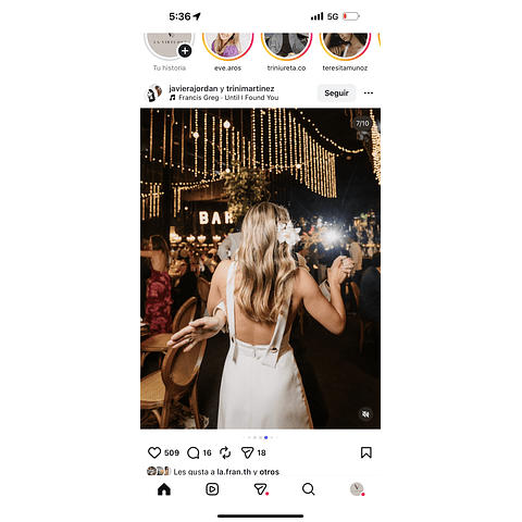 Tocado flor orquídea silvestre