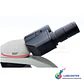 MICROSCOPIO BINOCULAR 4 OBJETIVOS - Miniatura 6