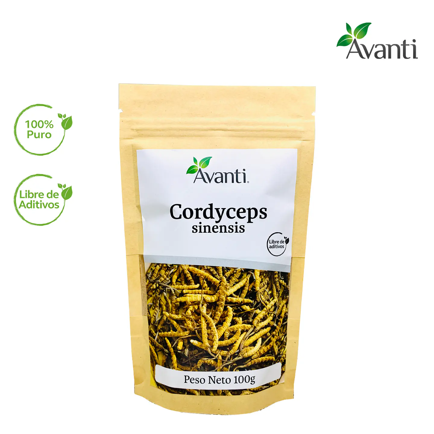 Cordyceps sinensis en Polvo, 100g 4