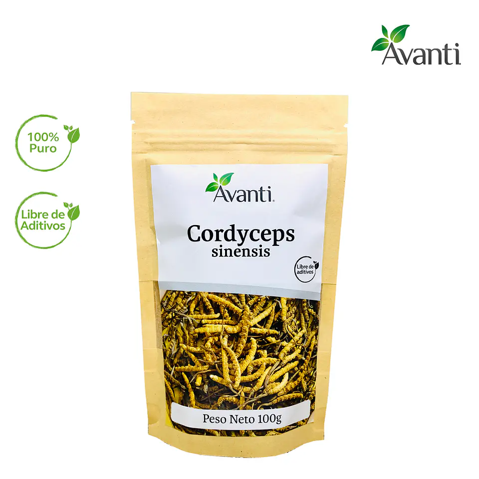 Cordyceps sinensis en Polvo, 100g 4