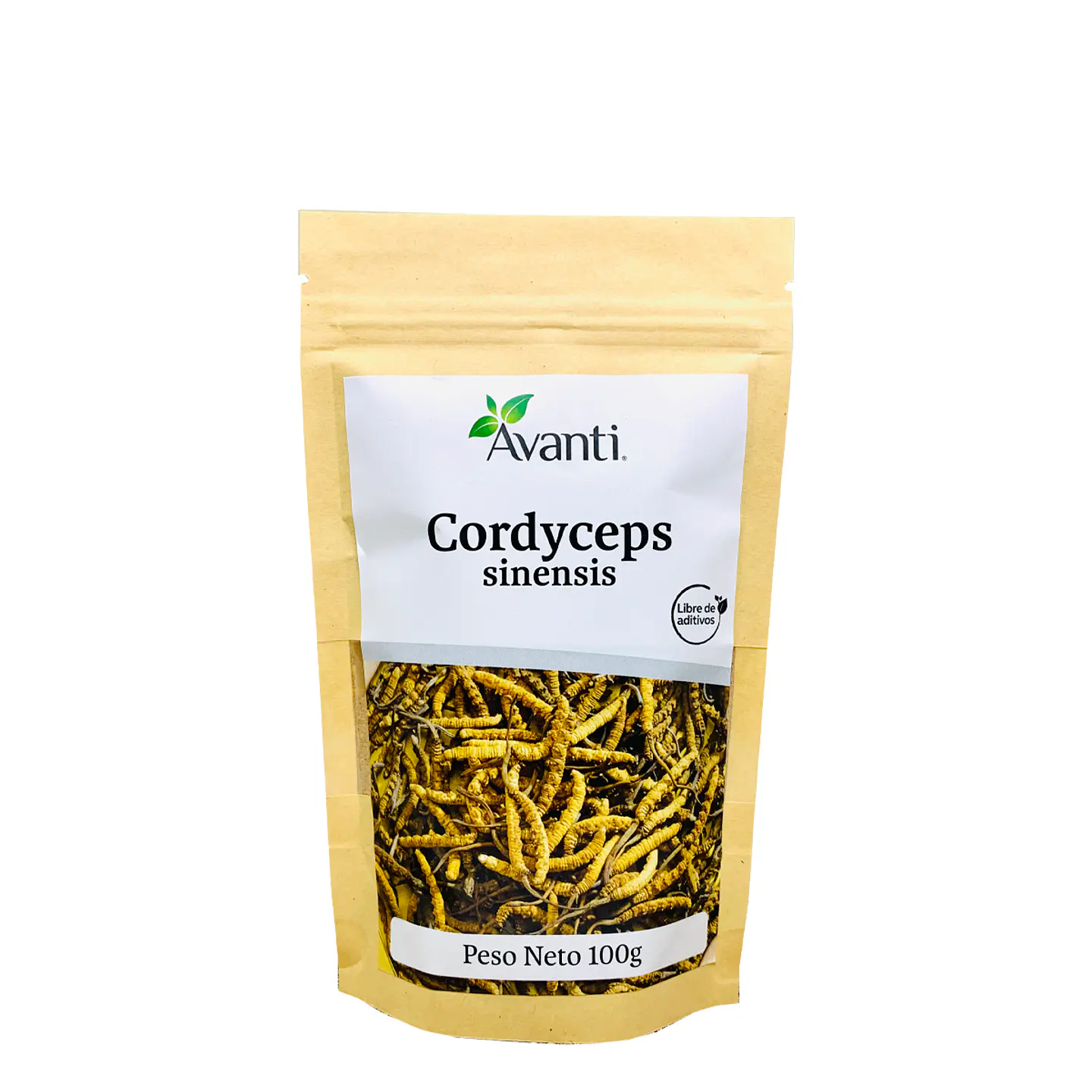 Cordyceps sinensis en Polvo, 100g 2