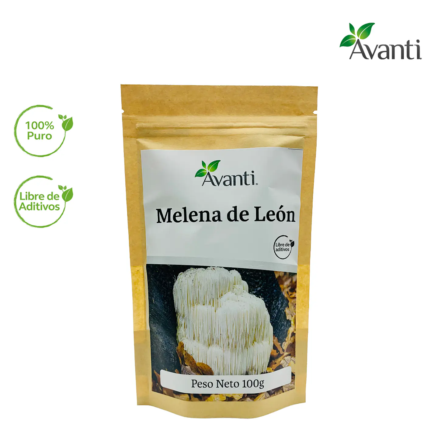 Melena de León en Polvo, 100g 4