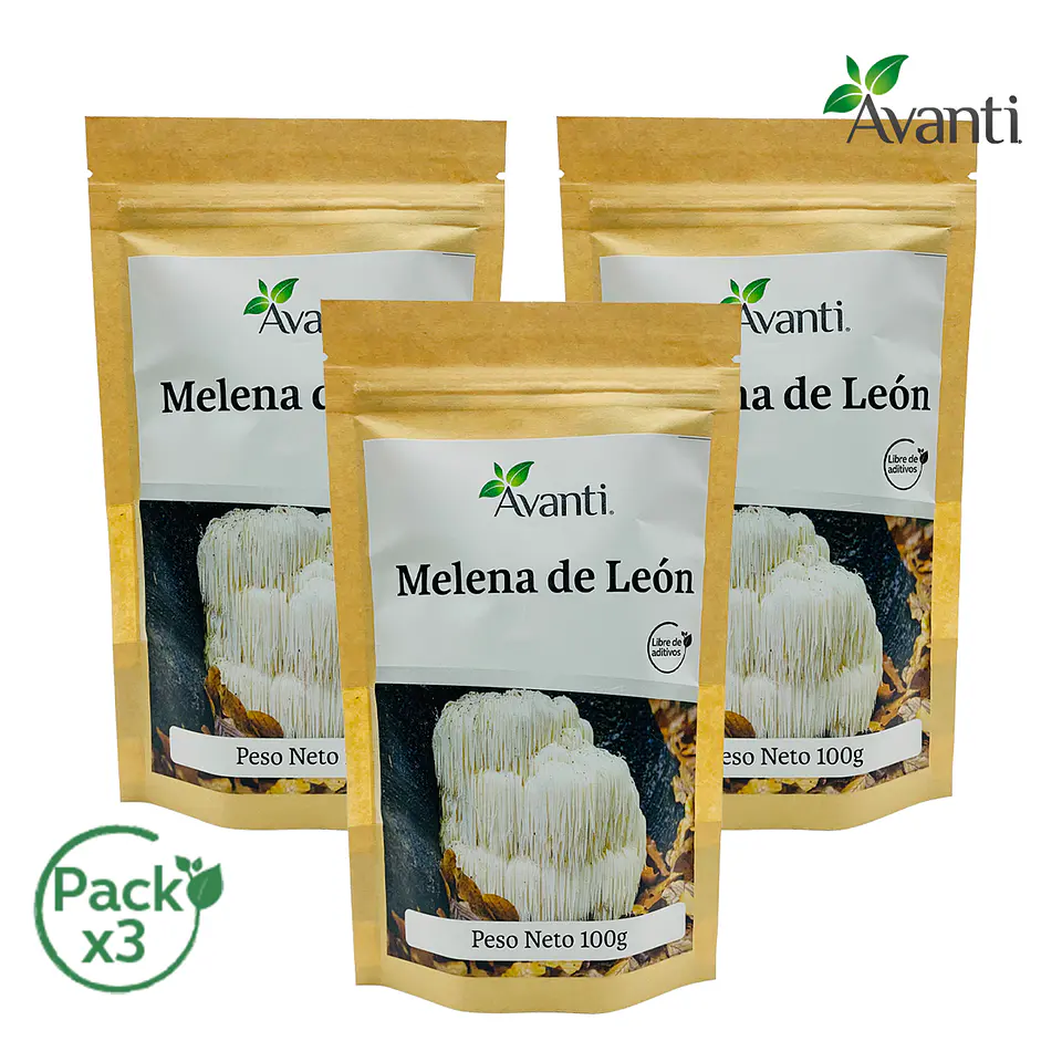 Pack x3 Melena de León en Polvo, 100g 2
