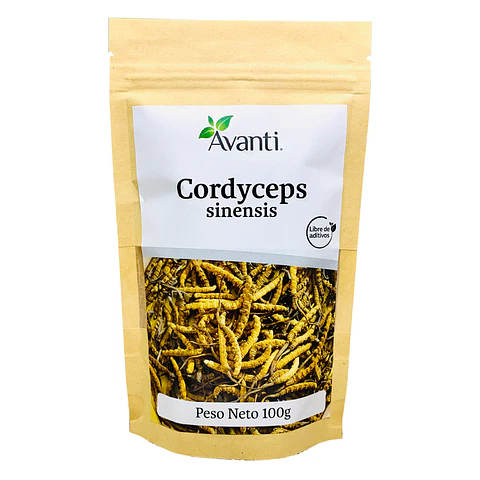 Cordyceps sinensis en Polvo, 100g