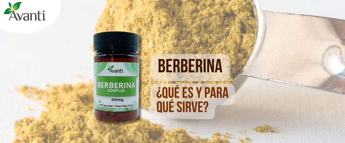 Berberina: qué es, de dónde se obtiene y cómo apoya a nuestro bienestar