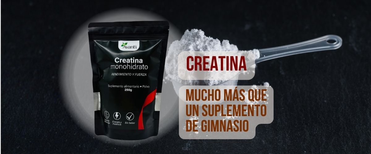 Creatina: mucho más que un suplemento para el gimnasio