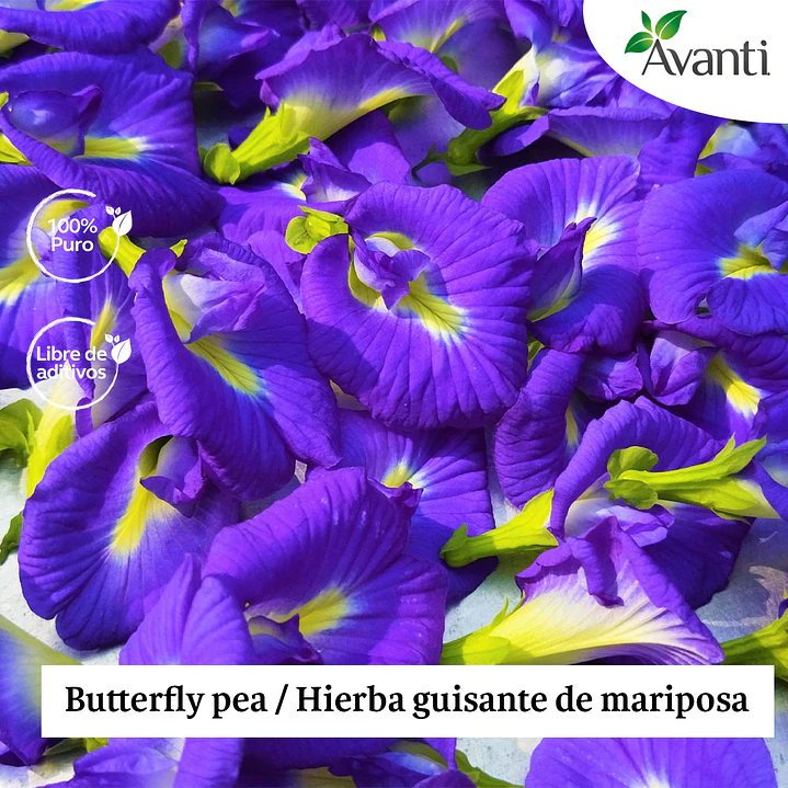 Infusión Butterfly Pea, 30g 5