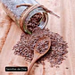 Chia semillas, Doypack 250g - Miniatura 4