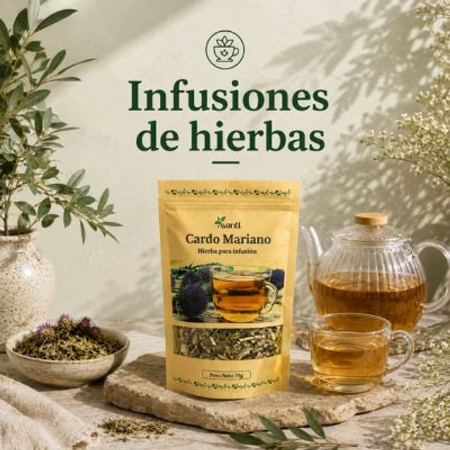 Infusiones