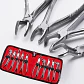 Set de 10 Fórceps Dentales para Exodoncia Adulto con Estuche - Miniatura 1