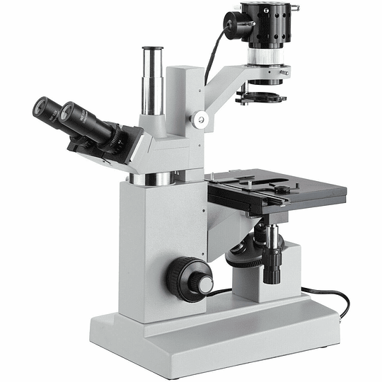 Microscopio Invertido AmScope 40X-640X, cultivo de tejido Incluye Camara digital 13mpx USB 2.0 Chip Sony