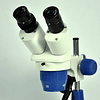 Microscopio Stereo 20x-40x, LED, metal, plastico, Modelo YJ-T101
