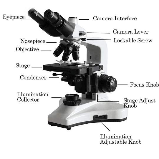 Microscopio Trinocular Kohler, 40-1000X, Profesional, Iluminacion Led, Laboratorio Clinico, Veterinario