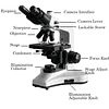 Microscopio TrinoIII, 40-1000X, Kohler, Trinocular, Profesional, Iluminacion Led, Laboratorio, Veterinario
