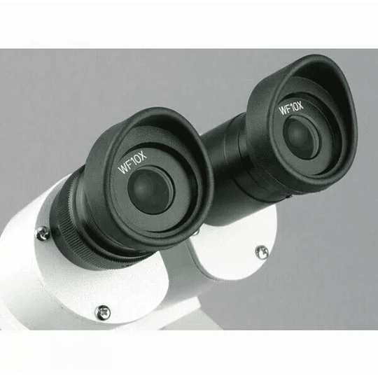 Microscopio estéreo binocular AmScope 20X-40X Multiuso