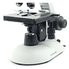 Microscopio Trinocular Labquimed Modelo T1, Incluye Cámara 5MP, 40x-1000x, Siedentopf, Trinocular, Iluminacion Led 3W, Educacional, Veterinario, Laboratorio