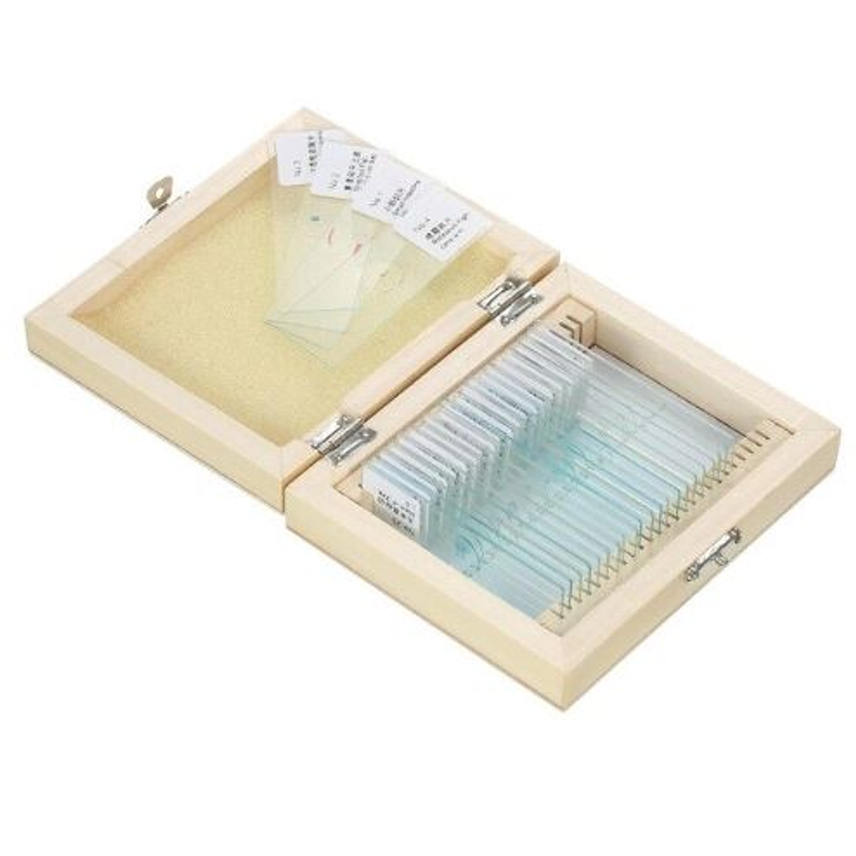 Portaobjetos con muestra teñidos x 25 unid. Caja madera