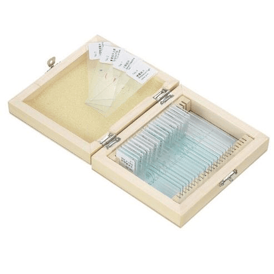 Portaobjetos con 25 muestra teñidas, Caja madera Amscope