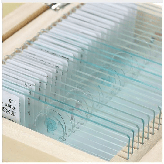 Portaobjetos con 25 muestra teñidas, Caja madera Amscope
