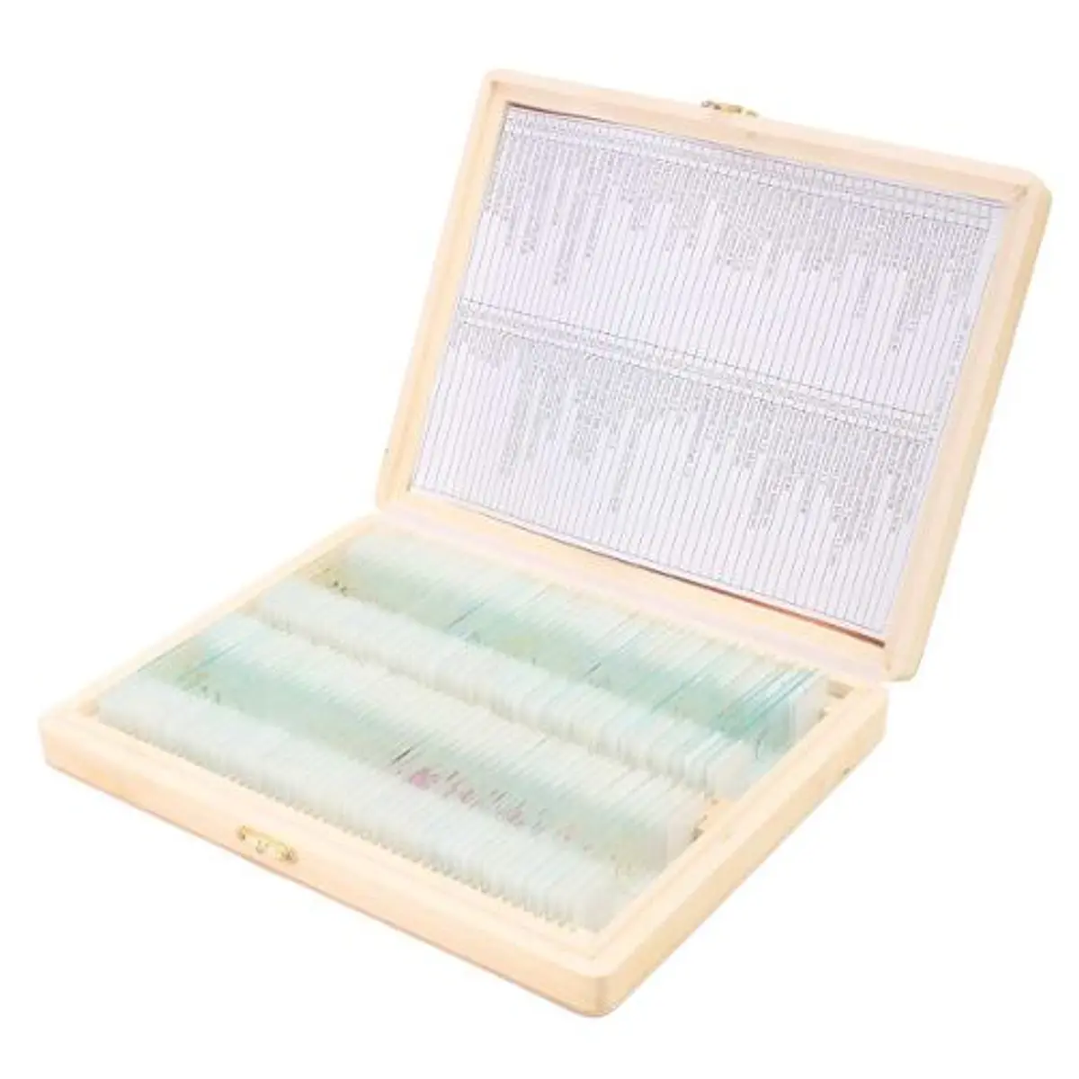Portaobjetos Con Muestra Biologica Te ida X 100 U Caja M 