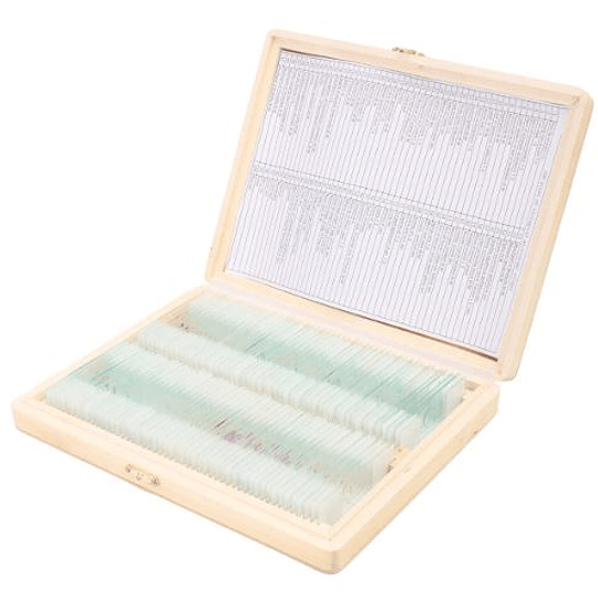 Portaobjetos con muestra biologica teñida x 100 u. Caja madera