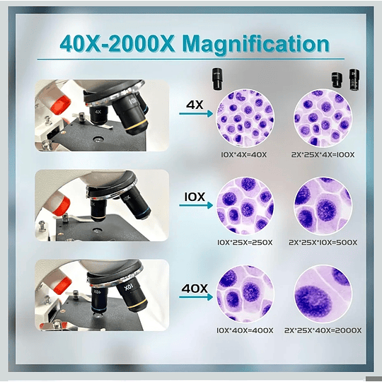 Microscopio Monocular Educacional 40X-2000X, Bolso, cuerpo de metal, con kits y accesorios.
