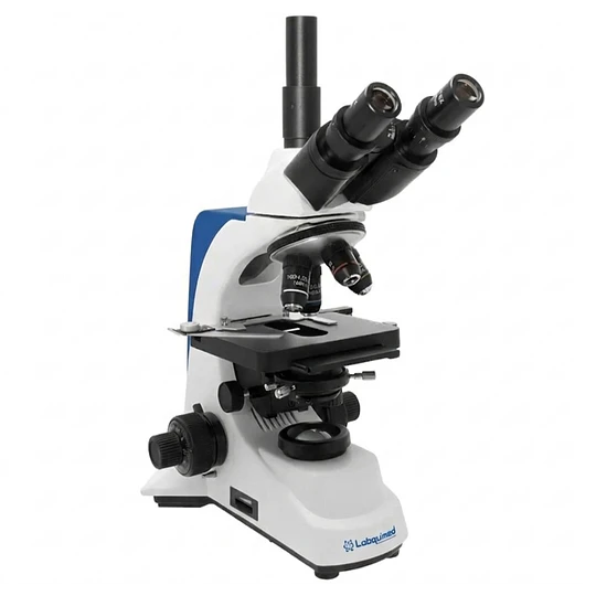 Microscopio Trinocular Profesional Labquimed 40x-1000x, Modelo T1-XT, Led, Veterinario, Laboratorio, Educacional