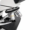 Microscopio Trinocular Plan Acromatico Labquimed 40x-1000x, Modelo T1-XT-PLAN, Led, Veterinario, Laboratorio, Educacional
