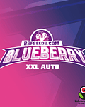 BLUEBERRY XXL AUTO (x2)