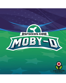 MOBY-D XXL AUTO (x4)