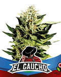 EL GAUCHO FASTER (X4)