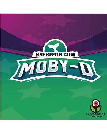 MOBY-D (X2)