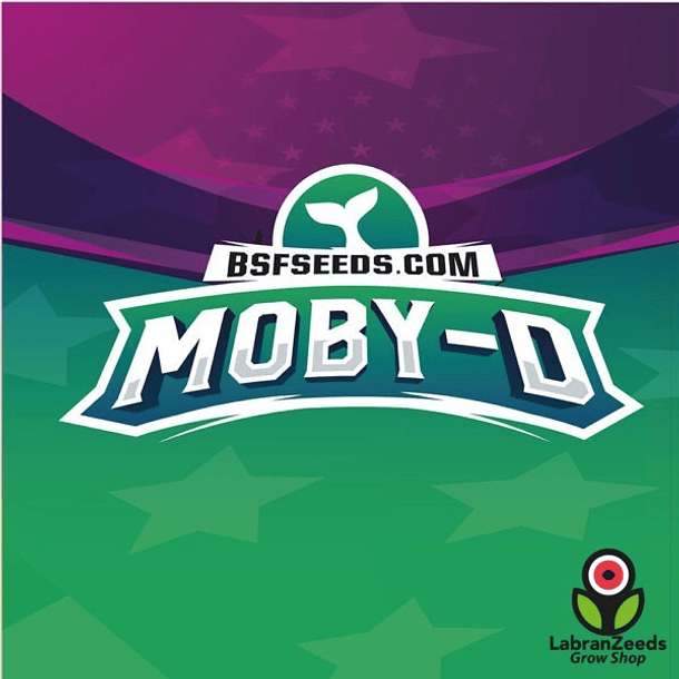 MOBY-D (X4) 1