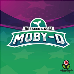 MOBY-D (X4)