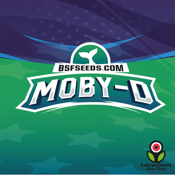 MOBY-D XXL AUTO (x12) 1