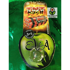 FEM TNT KUSH X3+1