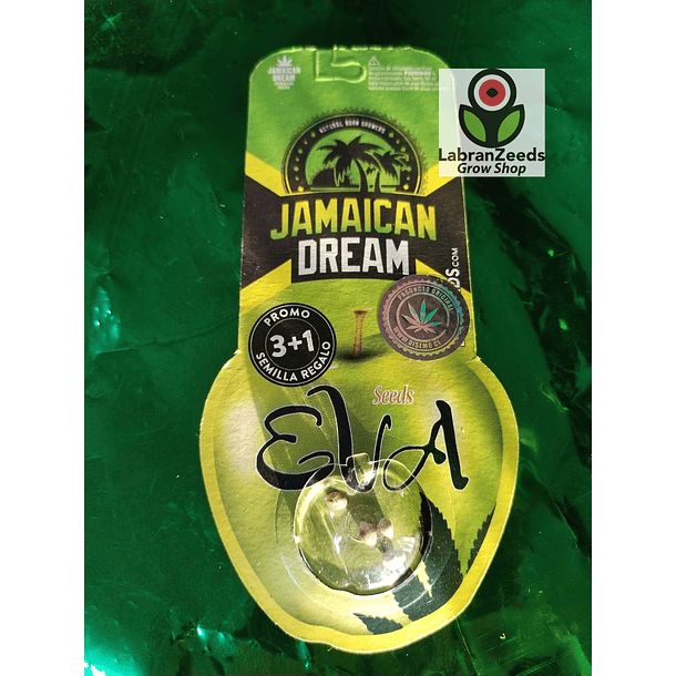 FEM JAMAICAN DREAM X3+1 