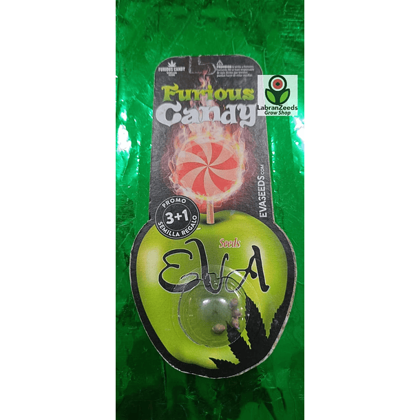 FEM FURIOS CANDY X3+1 