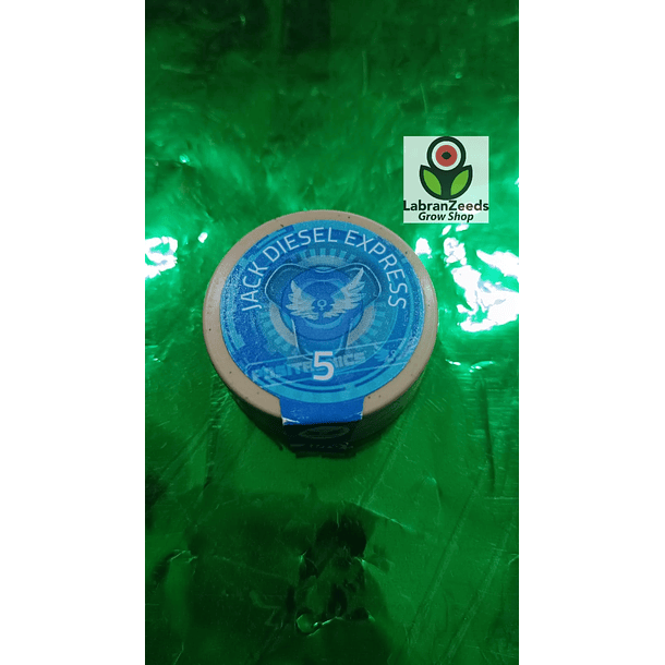 AUTO JACK DIESEL EXPRESS X5 