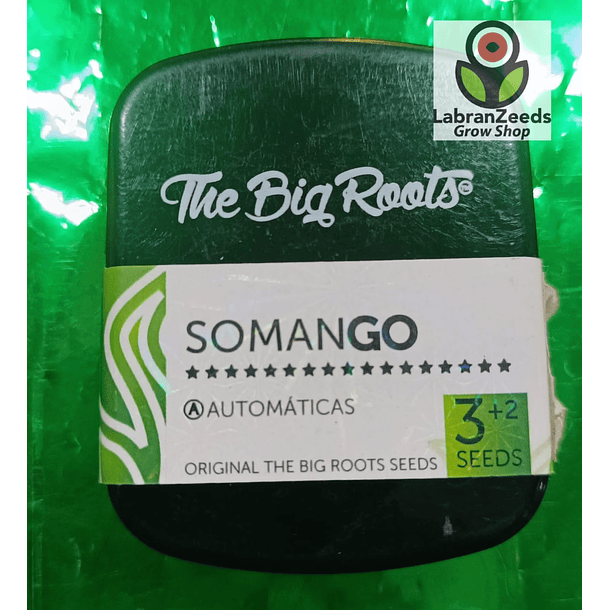 SOMANGO AUTO (3+2) 
