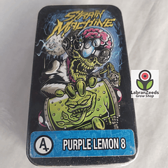 AUTO PURPLE LEMON 8 X3