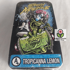 AUTO TROPICANA LEMON X3