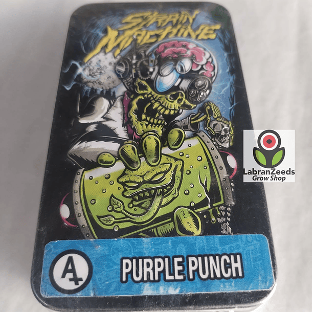 AUTO PURPLE PUNCH X3 