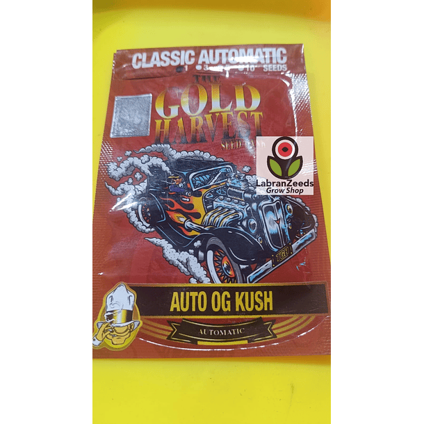 OG KUSH AUTO x1 